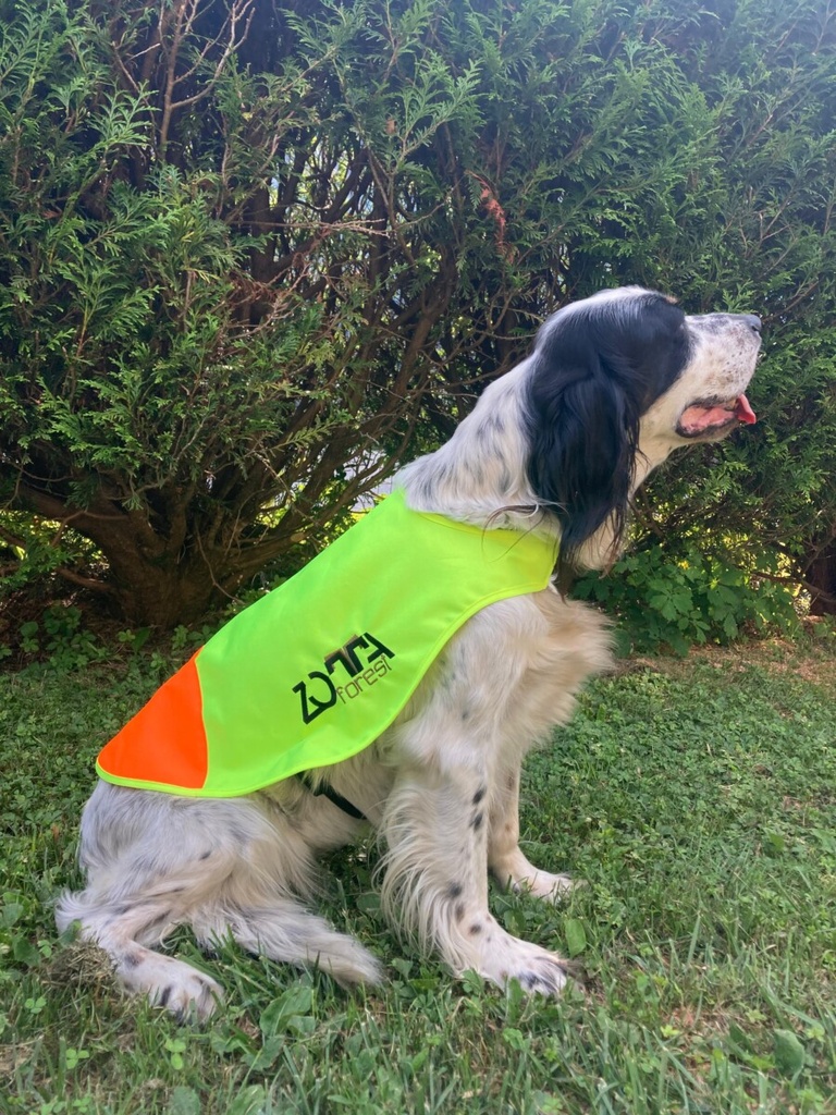 Γιλέκο ορατότητας σκύλων ZOTTA FOREST dog cover 